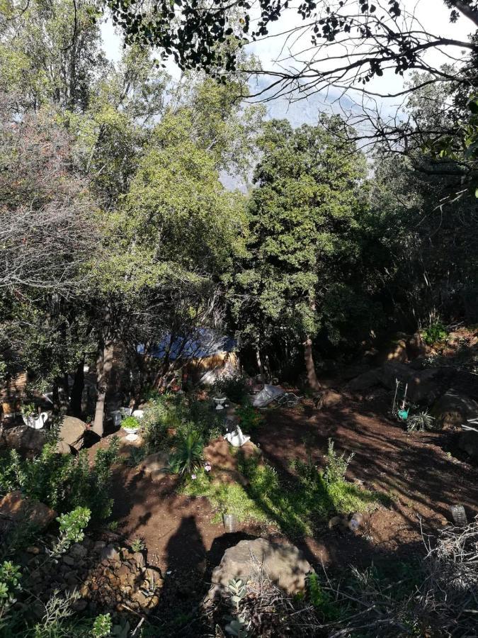 Lomas Del Manzano * San Jose de Maipo